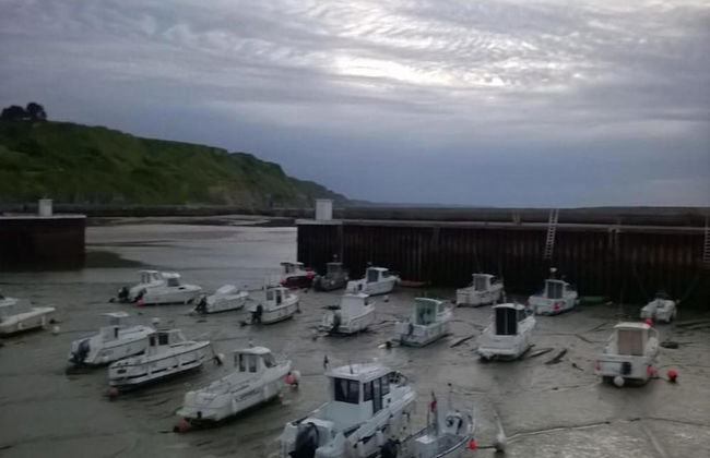 Golden Light Cottage Escape - Foto 28