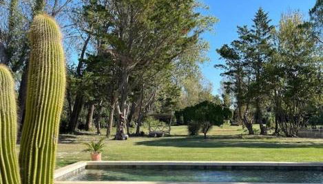 Mas Volver Camargue - Foto 3, Garden, Garden view