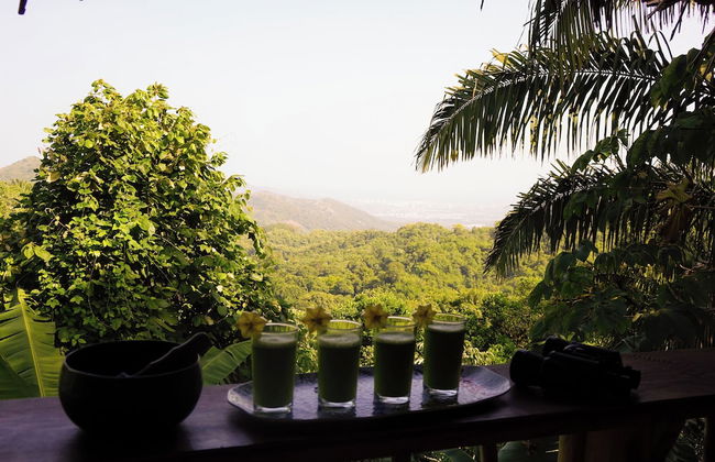 Sol de minca - Photo 61