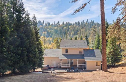 Zen Whisper in the Woods - Foto 22