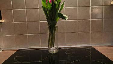 Casa Veridee - Foto 3