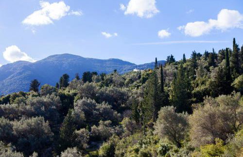 Panorama Ionian View - Photo 25