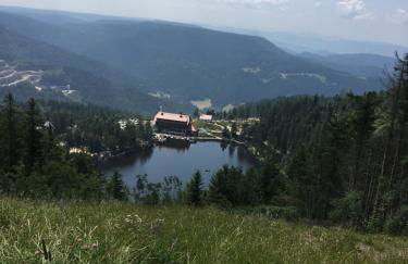 Klimatisierte Wohnung Schwarzwald Europapark Rust barrierefrei 110 qm - Foto 25