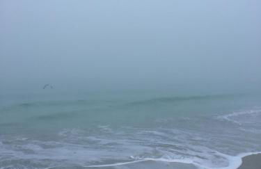 Coquina Beach Club 109 - Photo 33