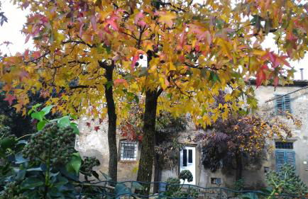 Appartamento Berlicche - Foto 47