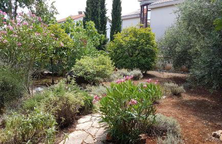 Apartments Villa Temer - Photo 72