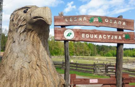 Uroczysko Lubiaszów - Foto 76