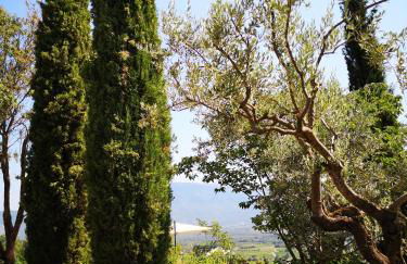 La Bastide du Limon - Foto 55