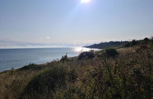 Minster Leas - Foto 21