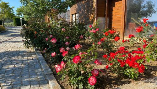 Gites Des Sablons - Foto 3, Garden, Garden view