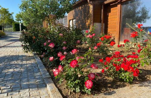 Gites Des Sablons - Foto 3