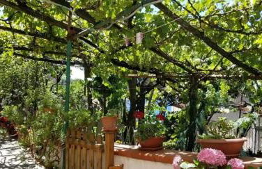 Le Mimose - Photo 32