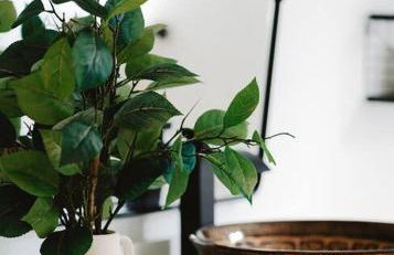 Madre Tierra - Photo 33