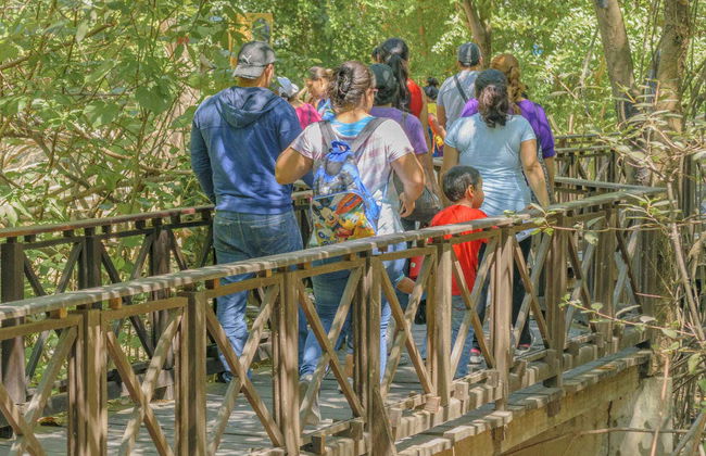 Private Excursions from Guayaquil - Photo 8