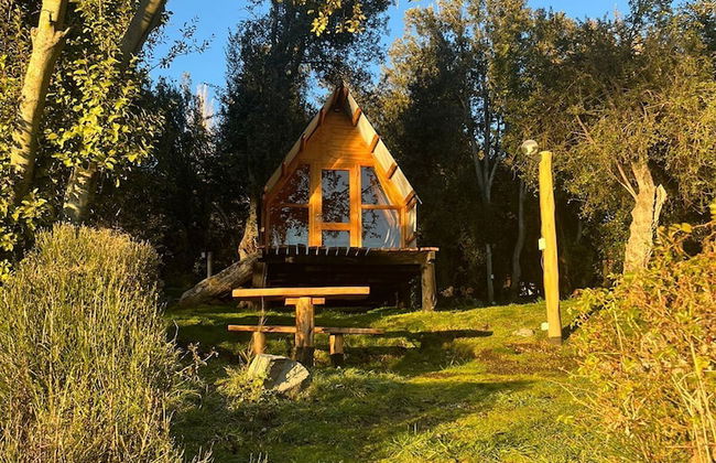 Costa Traful - Foto 3