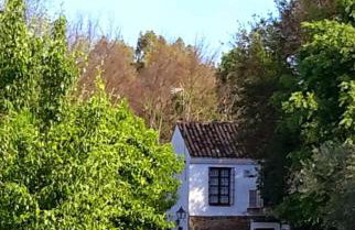 Casa Rural del Guadalora - Foto 1