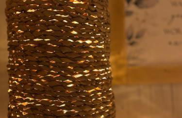 La Salamandre de l Olivier - Le Cèdre Bleu - Foto 14