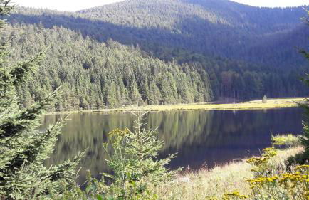 Ferienwohnung-Panoramablick -4 - Foto 28