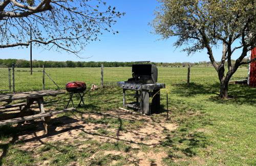 Stay on a 350-acre Cattle Ranch! Brazos River! Tubing! Petting zoo! - Foto 21