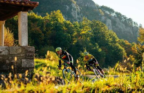 Apartment with a terrace Forest Home Lullula - Photo 59
