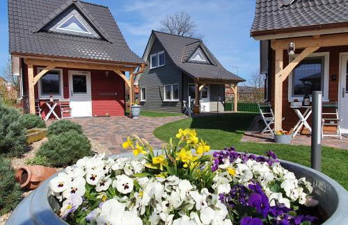 TinyHausDorf Wendland - Foto 2