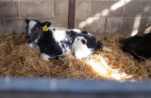 Marsh Farm - Photo 12