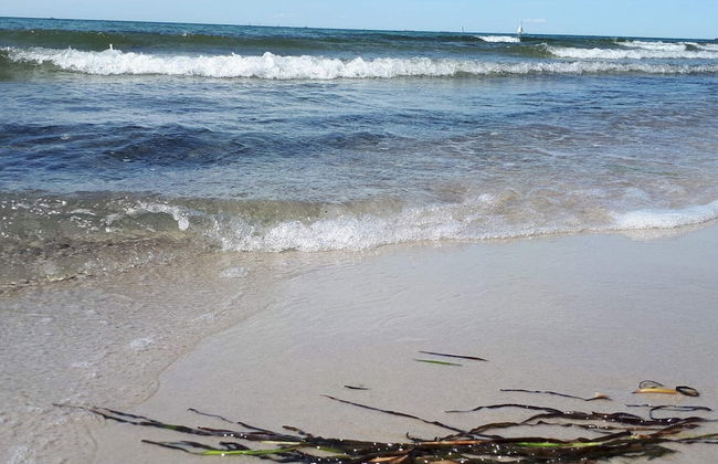 Holiday Home in Wendtorf - Foto 48