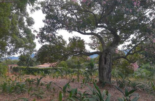 Chalé Veredas e Buritis - Foto 56