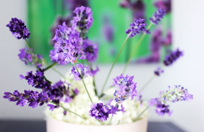 Apartments Mia - Foto 27