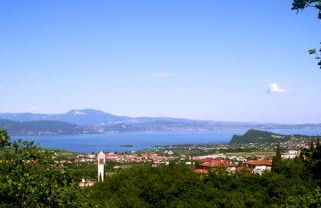 Mimosa Apartments - Foto 39