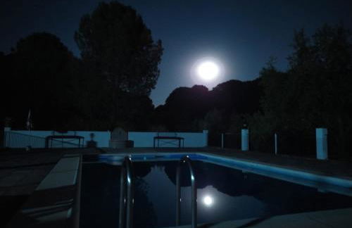 La Isabelita - Foto 43