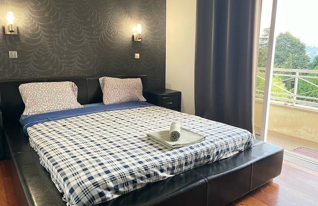 Douro Green Villa - Foto 1