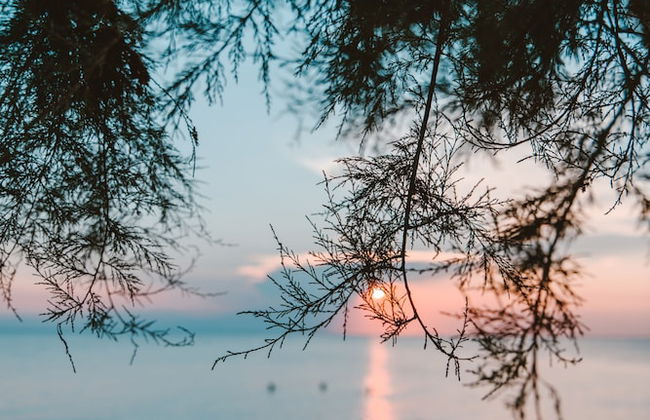 Soleado Luxury Villas - Foto 59