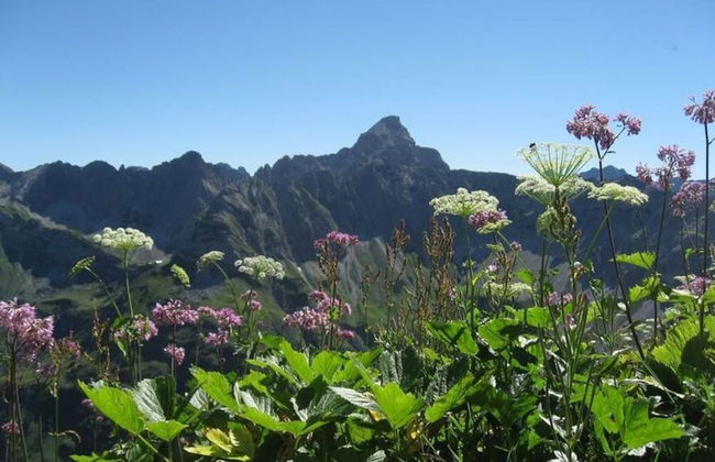 1 Porzig Modern Retreat - Photo 17