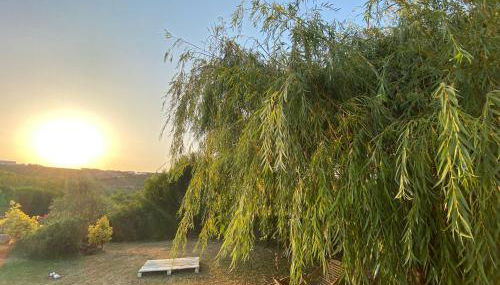 Quinta TreeWindBee - Foto 2, Garden