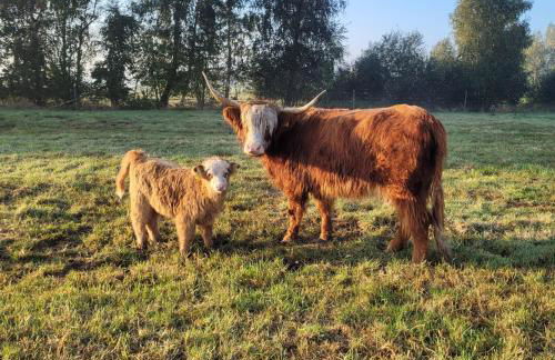 Heidehof Kuppendorf - Foto 4