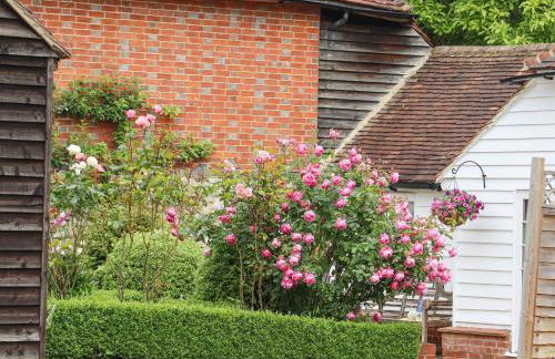 Oast Cottage - Foto 36