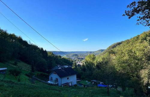 Rheinauszeit - Foto 29