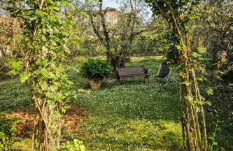 Apartment Matteuzzi by Interhome - Foto 24