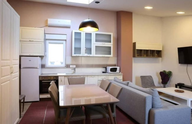 Belgrade Center Apartment Nusiceva - Foto 11