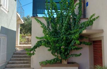 Apartmani Bugenvilija - Foto 15