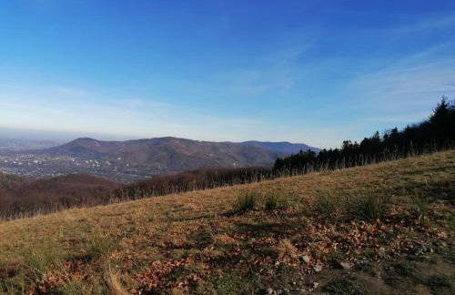 Apartamenty Marii Kawik - Foto 35