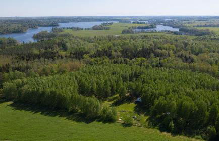 Siedlisko MiłoBrzózka - Photo 26