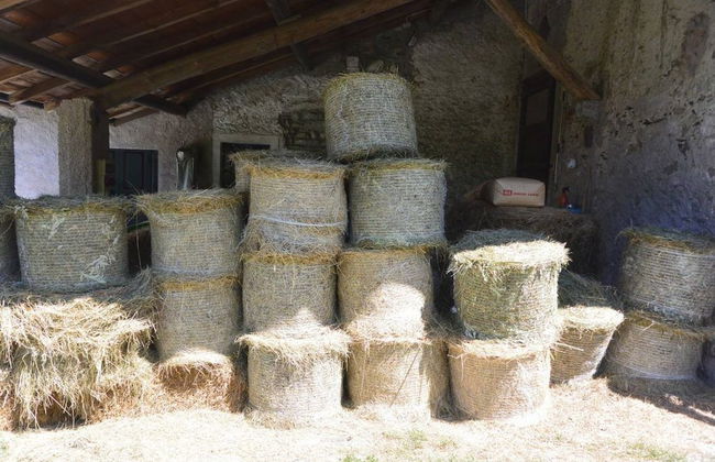 Agriturismo la Derta - Photo 24