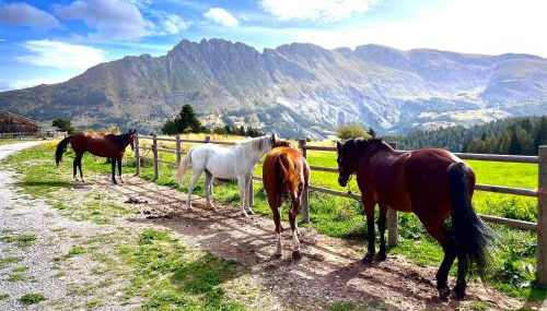 APPARTEMENT CHALETS DU SUPER D - Foto 5