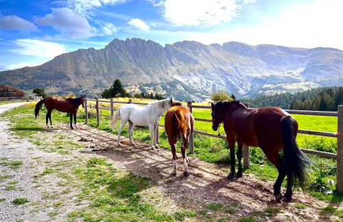APPARTEMENT CHALETS DU SUPER D - Photo 55