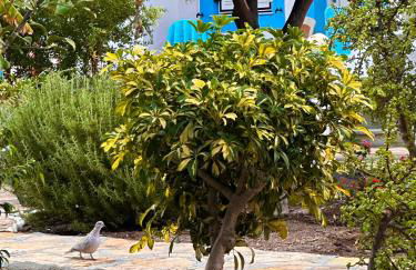 EFFIE'S STUDIOS - Foto 28