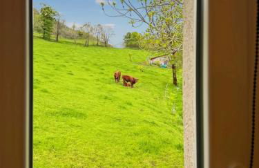 Maison au cœur de la vallée du Cantal - 2pers - Photo 21