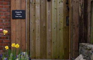 Magnolia Passageway to the Jurassic Coast. - Foto 15