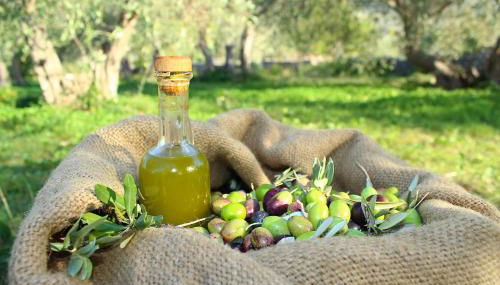 Casale Orioles - Foto 5, Garden view